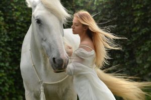 Horses within the early days of cinema