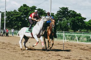 The Most Well-known Horses in Triple Crown Historical past