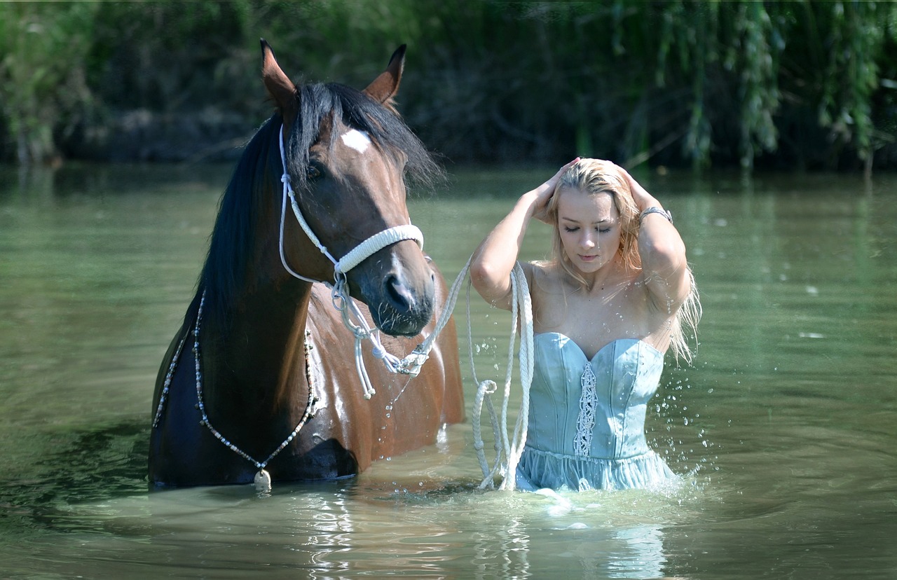 How can horses swim
