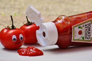 Which ketchup brand is safe for dogs