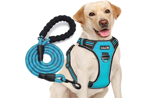 Canine Harness