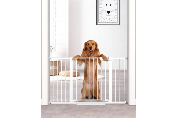 Prime Entryways: Elite Dog Gates in 2024, Unveiled with Amazing Discount on Amazon