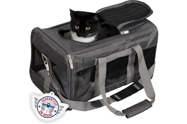 2024's Amazon Exhibition Featuring Top 5 Discounted Pet Carriers for Your Beloved Pets