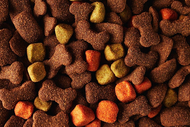 2024’s Amazon Highlights Picks Top 5 Dog Foods for Your Discerning Pooch